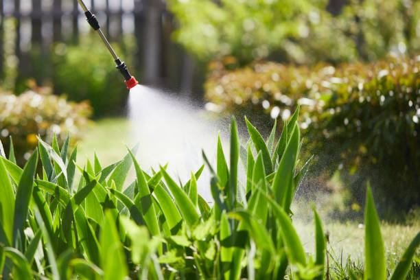 24/7 Emergency Wasp Removal experts in Azalea Park, FL