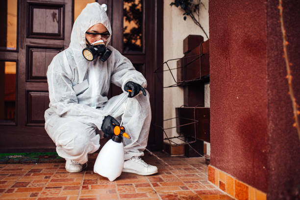 Reliable Wasp Removal contractor in Azalea Park, FL by Show Me Pest Control